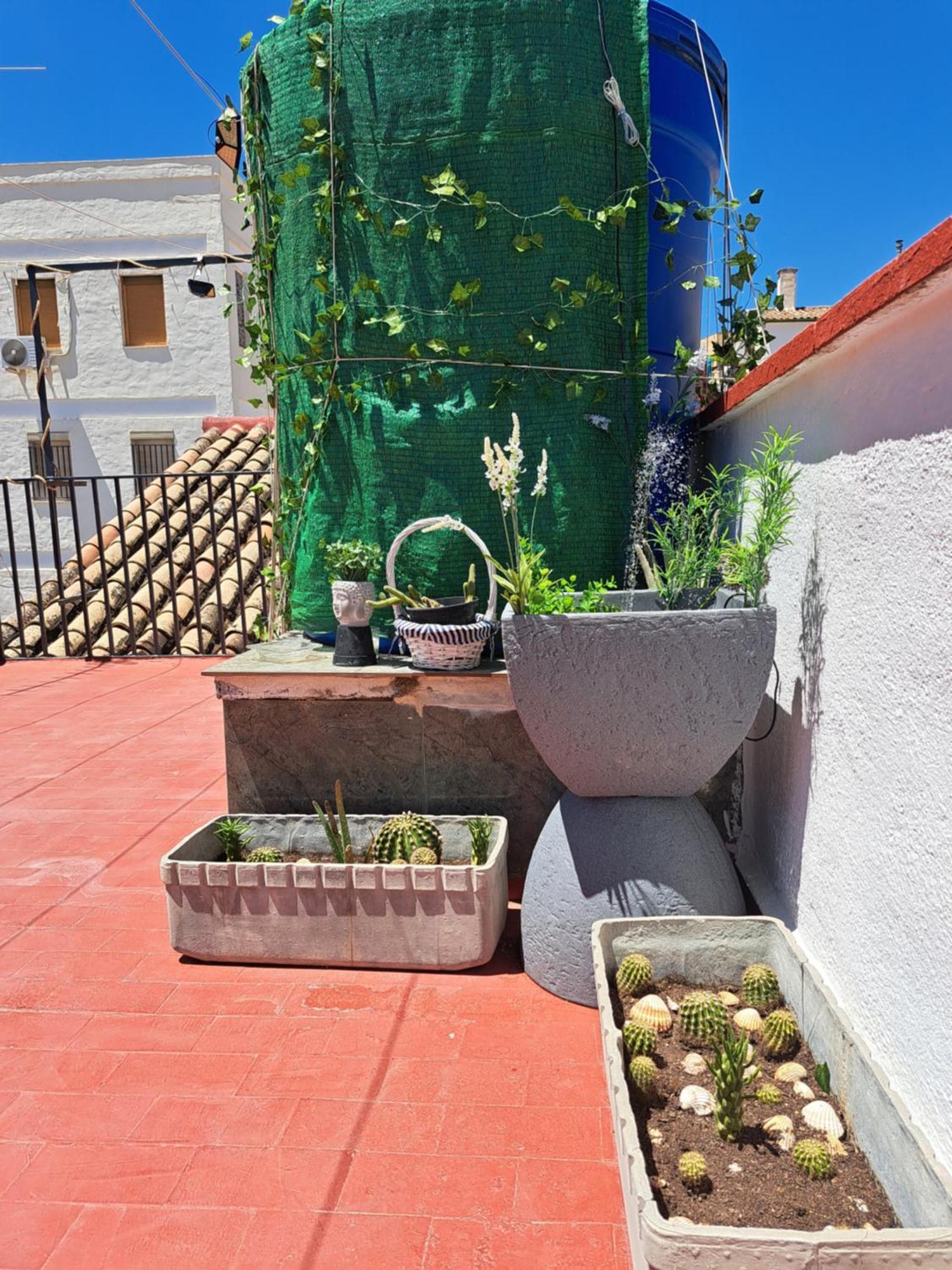 Casa Paloma Apartment Jaen Bagian luar foto